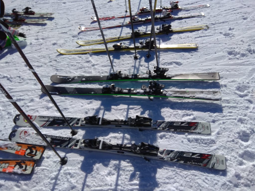 Best Alpine Skis for 2020/2021 Season (New Releases & Top ...